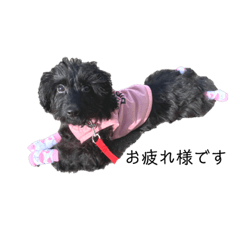 [LINEスタンプ] ダップー犬、ララァ①