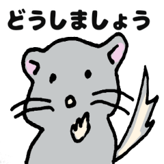 [LINEスタンプ] チンチラもなか落書き風文字あり