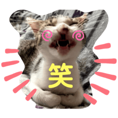 [LINEスタンプ] おとーふにゃん