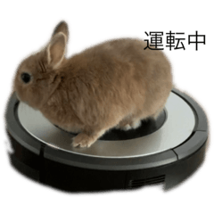 [LINEスタンプ] おちーずくん