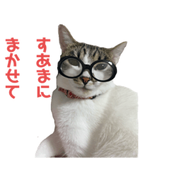 [LINEスタンプ] 表情豊かすあまちゃん  時々よもぎ
