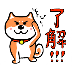 [LINEスタンプ] マイペースな柴犬2