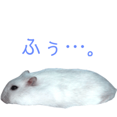 [LINEスタンプ] ちびまろちろ集