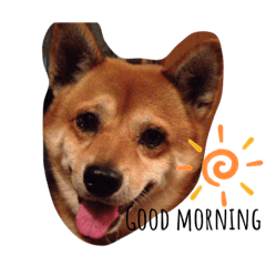 [LINEスタンプ] ピース君すたんぷ