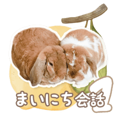 [LINEスタンプ] コムティティの毎日会話1
