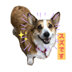 [LINEスタンプ] suzuの日々