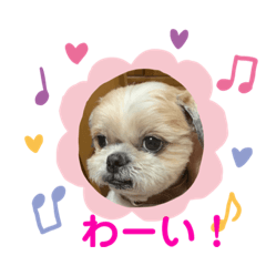 [LINEスタンプ] 愛しの茶太郎くん5