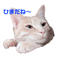 [LINEスタンプ] べるとらじ
