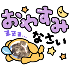 [LINEスタンプ] 愛犬を、LINEスタンプにしてみた改