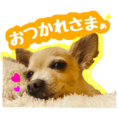 [LINEスタンプ] AXSY バナナ＆ポンズ