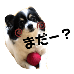 [LINEスタンプ] 松澤家のちょこたん