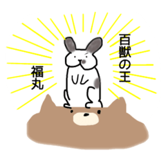 [LINEスタンプ] うさぎの福丸