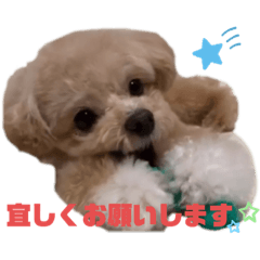 [LINEスタンプ] 倉松さん家のポワンくん