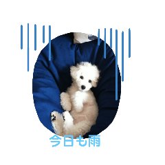 [LINEスタンプ] モフモフビション