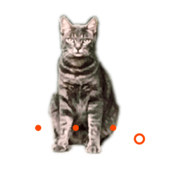 [LINEスタンプ] とろろらむもずく