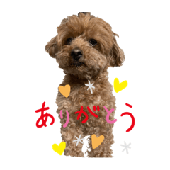 [LINEスタンプ] ソラ君スタンプ1