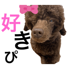 [LINEスタンプ] みほぽんさん家の家族1