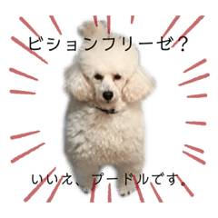 [LINEスタンプ] しろきけもの