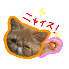 [LINEスタンプ] ブリタコブラザーズ