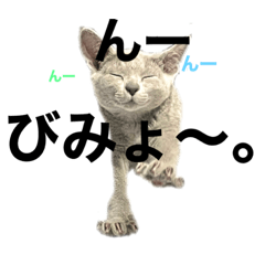 [LINEスタンプ] ロシアンブルーでひとこと