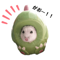 [LINEスタンプ] もぐちゃんの日常