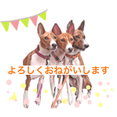 [LINEスタンプ] バセンジー★Rick＆Sun＆Mash