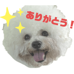 [LINEスタンプ] あびびび ver.2