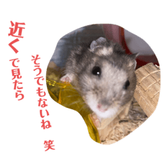 [LINEスタンプ] グリの口癖