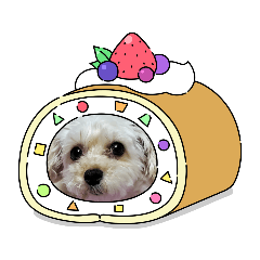 [LINEスタンプ] マルプー秋田美人ここちゃん