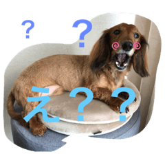 [LINEスタンプ] るいの1日  part2