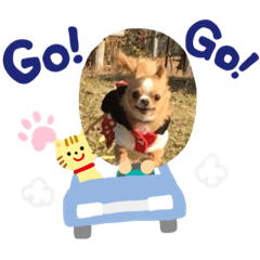 [LINEスタンプ] イッヌ〜
