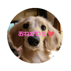 [LINEスタンプ] mugimugi217