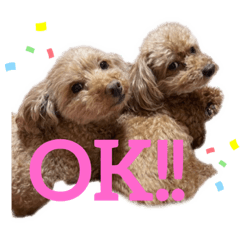 [LINEスタンプ] くぅだぉ