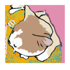[LINEスタンプ] アンちゃんの日々