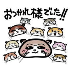 [LINEスタンプ] オンエア前のカワウソアナとクルーたち