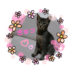 [LINEスタンプ] チョコ＆マメ 2