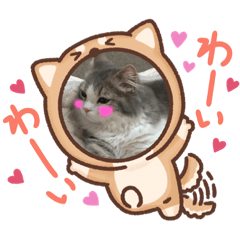 [LINEスタンプ] らん丸スタンプ❤︎