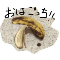 [LINEスタンプ] gottidayo