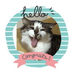 [LINEスタンプ] サンデーくん