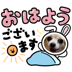 [LINEスタンプ] ユメの毎日スタンプ4