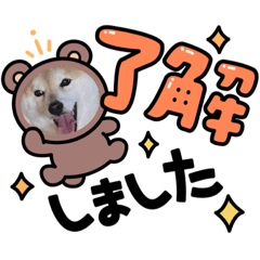 [LINEスタンプ] v全員集合v