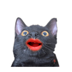 [LINEスタンプ] オレ・オ・レオ