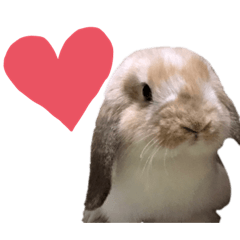 [LINEスタンプ] この世で1番可愛いちくわ