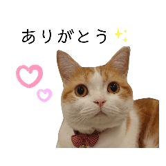 [LINEスタンプ] ぷりちゃん(よく使うver.)