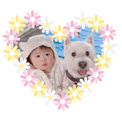 [LINEスタンプ] レオのLINEスタンプ