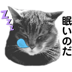 [LINEスタンプ] 眠いのだ！！