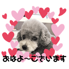 [LINEスタンプ] やまとくんとミミちゃん