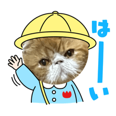 [LINEスタンプ] コータローの日常