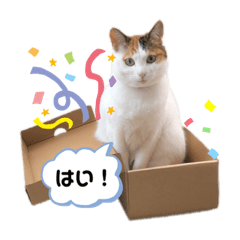 [LINEスタンプ] 苺子とうたとむう ごあいさつスタンプ 1