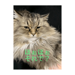 [LINEスタンプ] マーリーゴングJr.